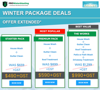 Winter Package Deals from PROWaterblasting